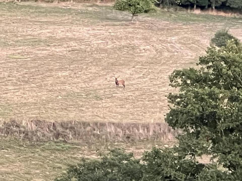 Roulotte A Sapharey Hotel Sarrazac  Bagian luar foto